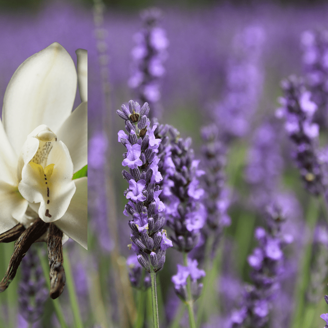Vanilla Lavender Room + Linen Spray