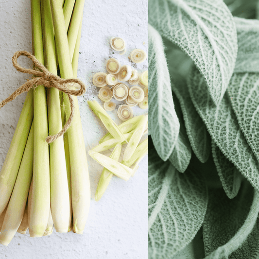 Lemongrass & Sage – 12oz Candle