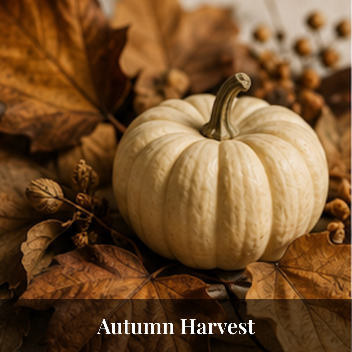 Autumn Harvest Signature Mist